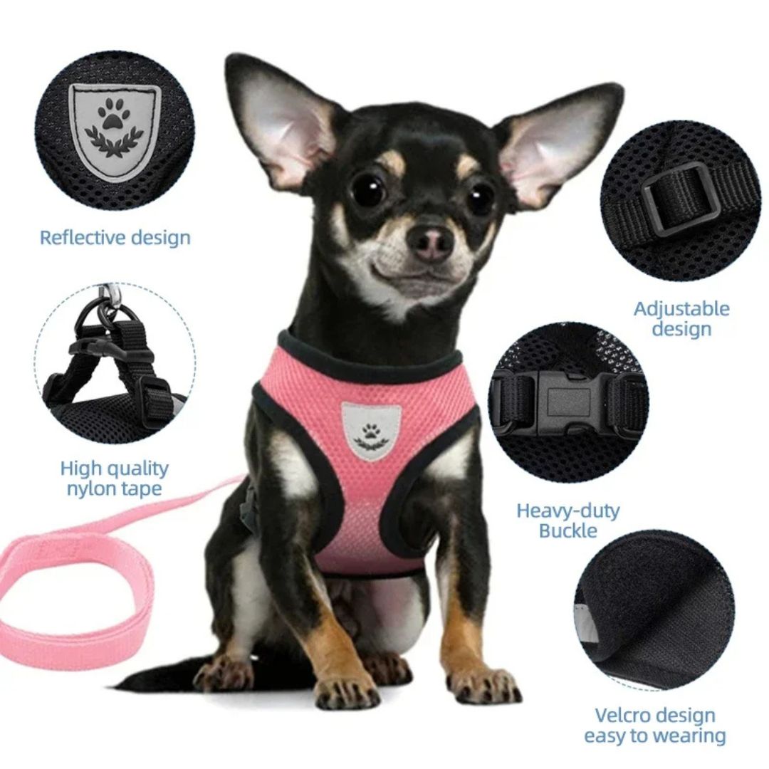 Malla reflectante y correa ajustable para perros