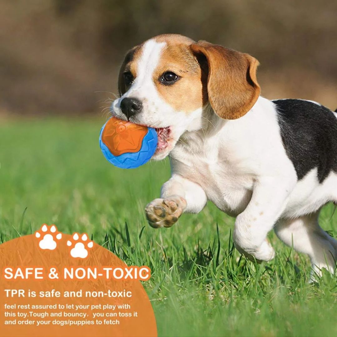 Juguete de goma para perros grandes resistente con limpieza dental