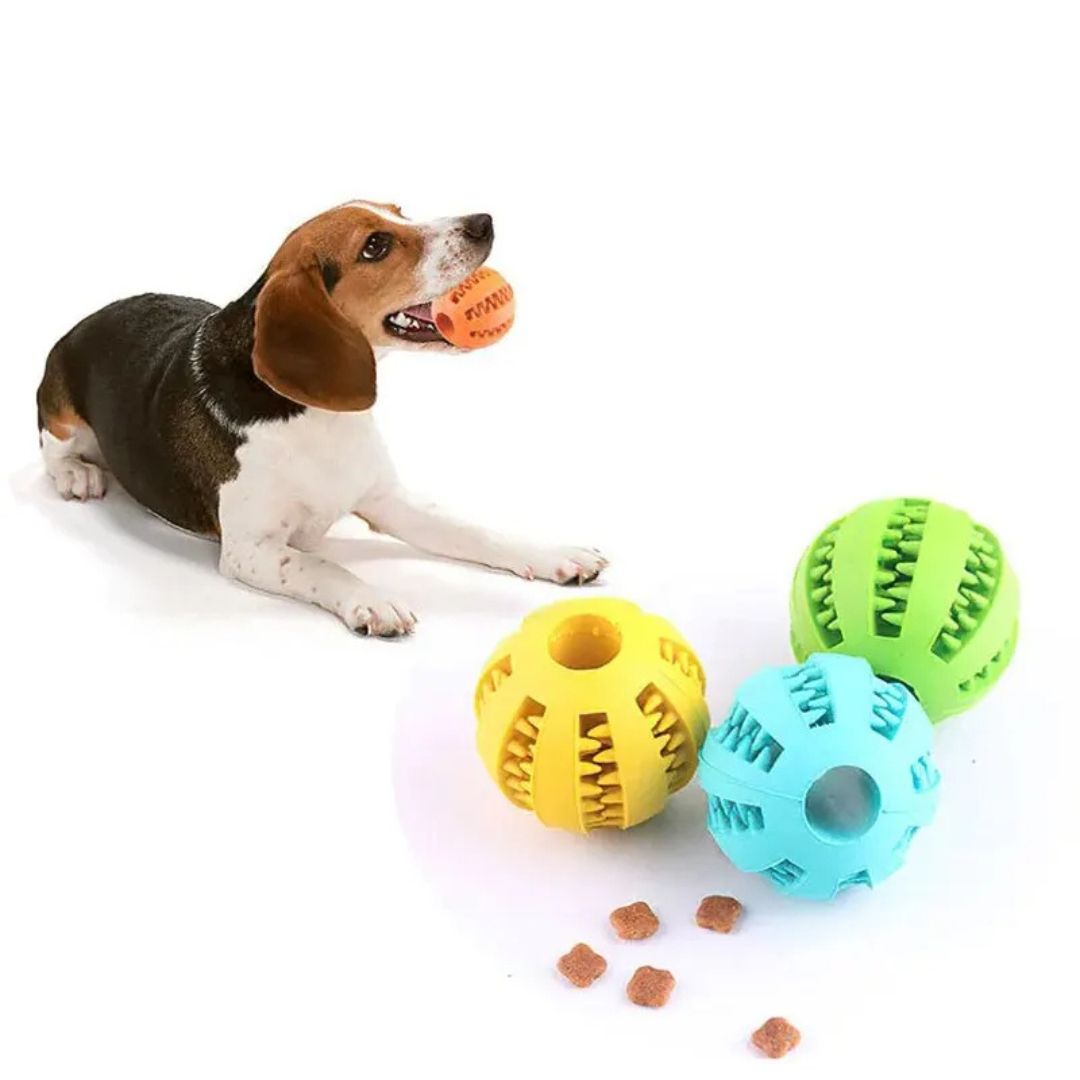 Pelota mordedora para perros juguete interactivo