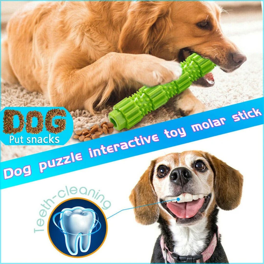 Juguete masticable para perros con dispensador de golosinas y chirrido