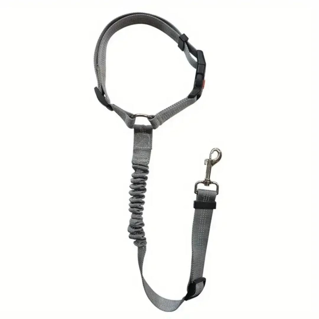 Cinturón de seguridad reflectante para perros, collar de viaje