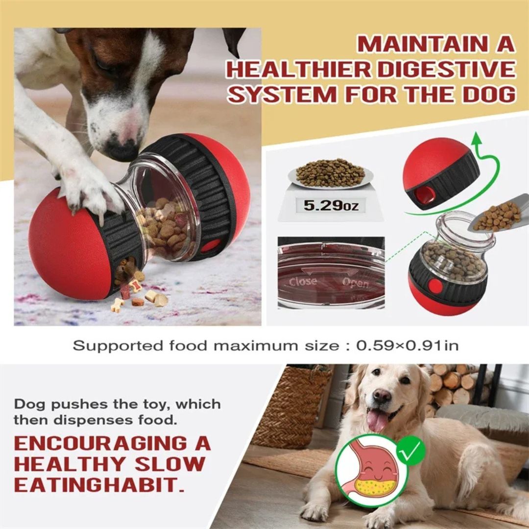 Juguete interactivo para perros con comida y pista elíptica para estimulación mental