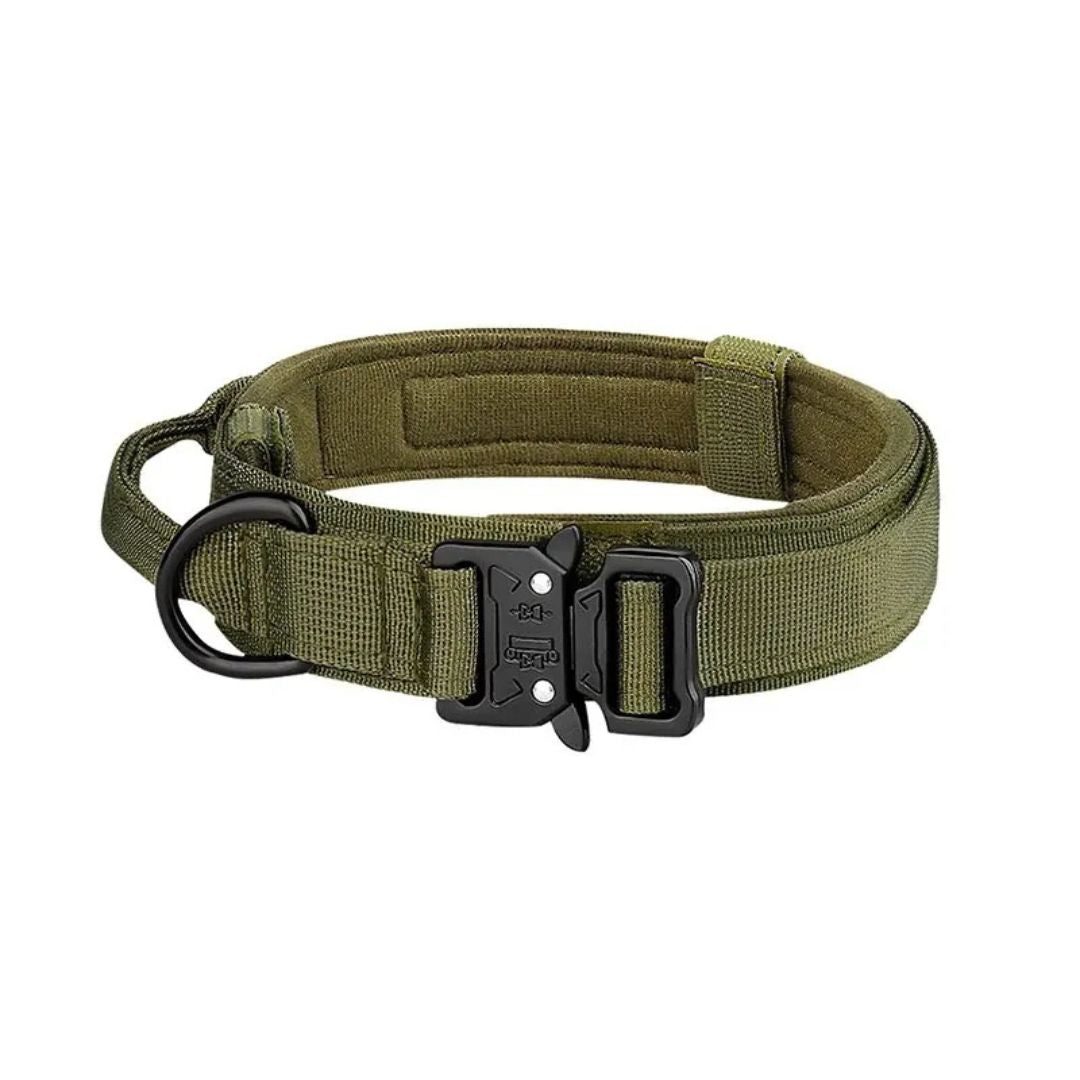 Collar Táctico Outdoor para Perros Medianos y Grandes