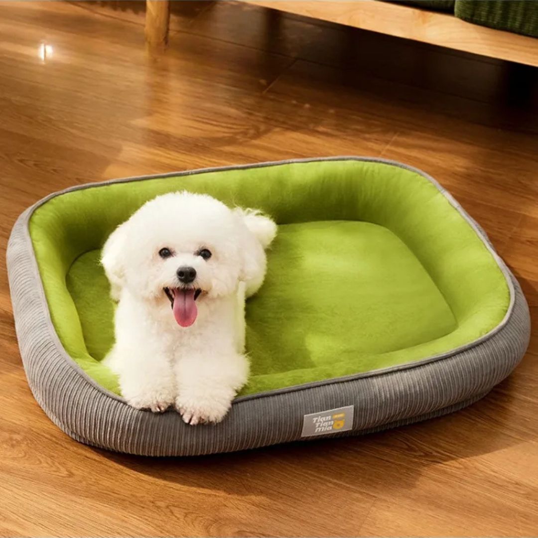 Cama todo clima para perros medianos – Térmica, lavable y ultra cómoda