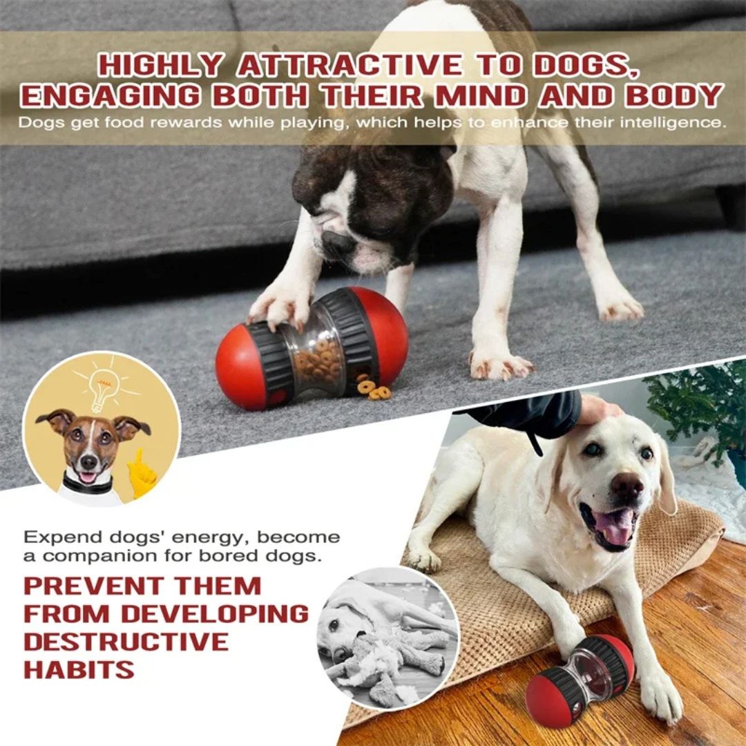 Juguete interactivo para perros con comida y pista elíptica para estimulación mental