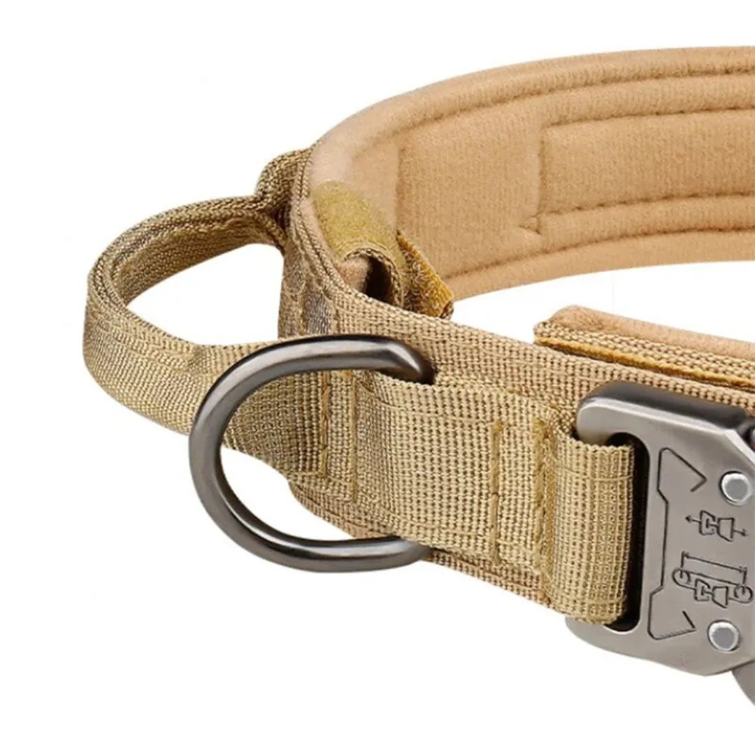 Collar Táctico Outdoor para Perros Medianos y Grandes