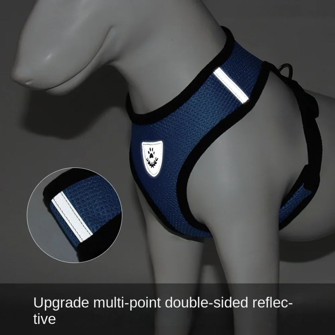 Malla reflectante y correa ajustable para perros
