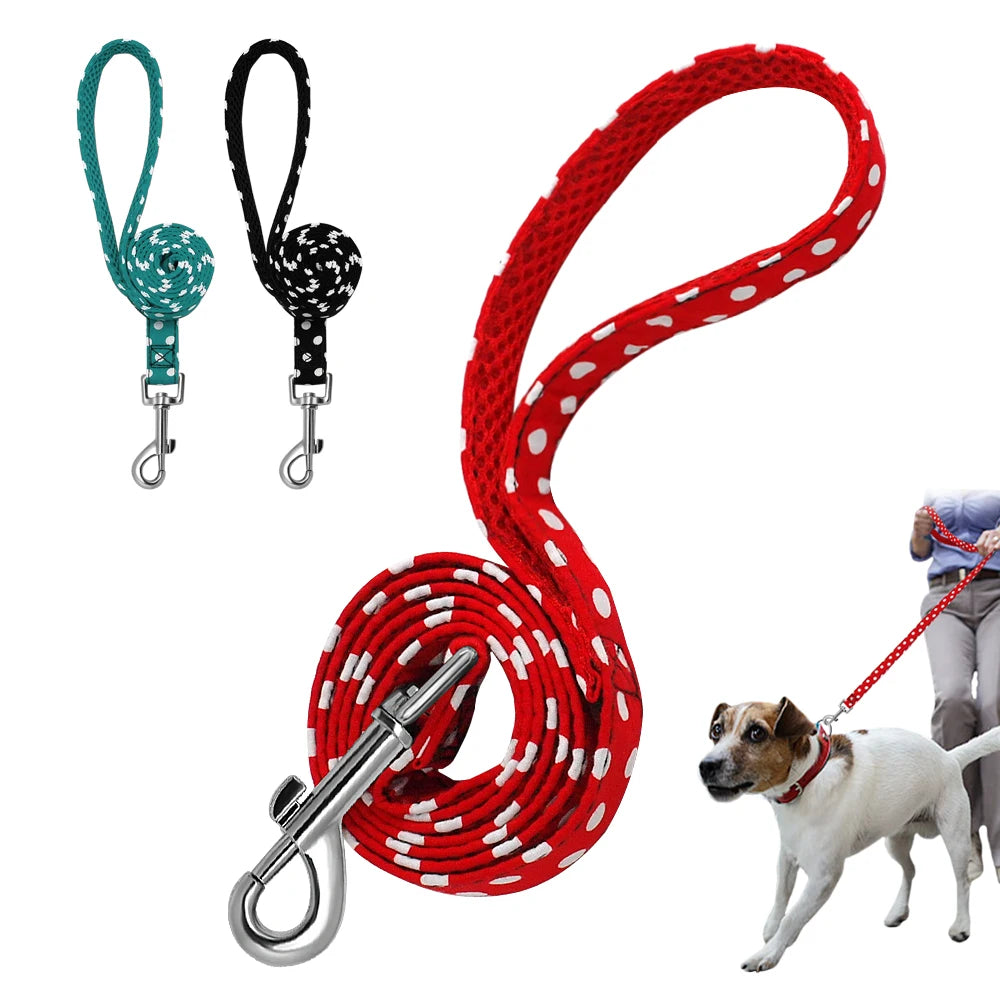 Correa de paseo con lunares – Suave, resistente y con estilo