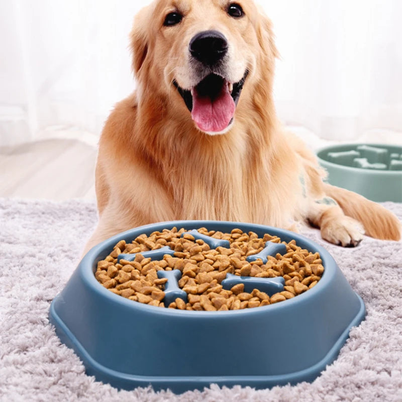 Comedero antiasfixia para perros-Plato de comida de plástico