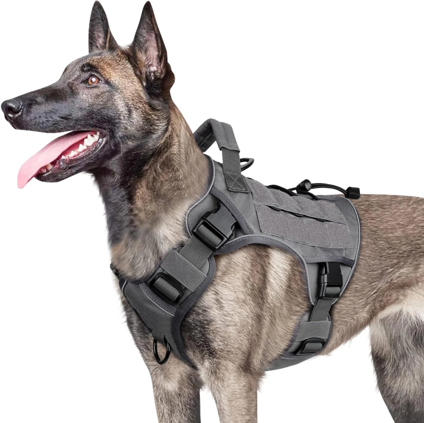 Arnés chaleco para perros grandes – Seguridad y resistencia para paseos activos