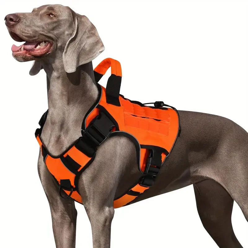 Arnés chaleco para perros grandes – Seguridad y resistencia para paseos activos