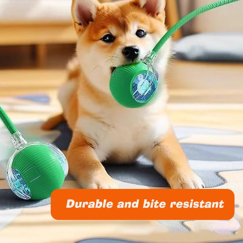 Pelota interactiva inteligente – Diversión automática para tu peludo