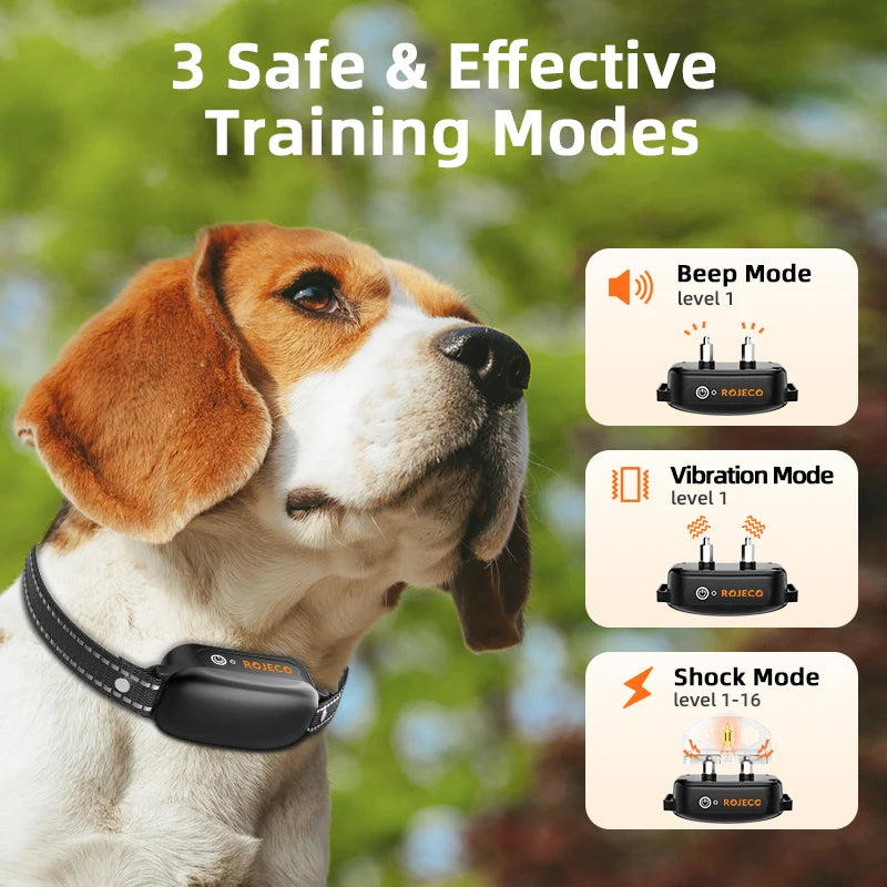 Collar de entrenamiento eléctrico – Precisión, control y resultados