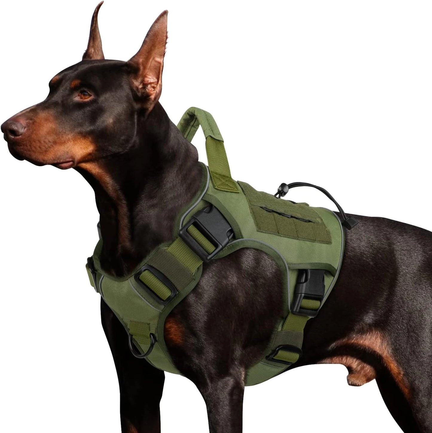 Arnés chaleco para perros grandes – Seguridad y resistencia para paseos activos