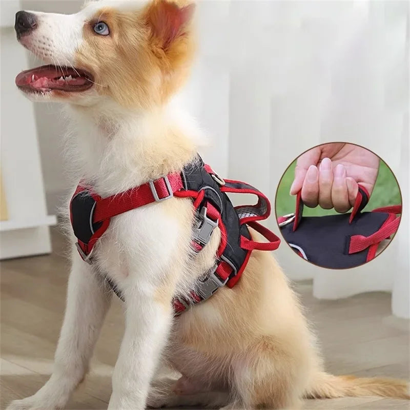 Arnés chaleco para perros grandes – Seguridad y resistencia para paseos