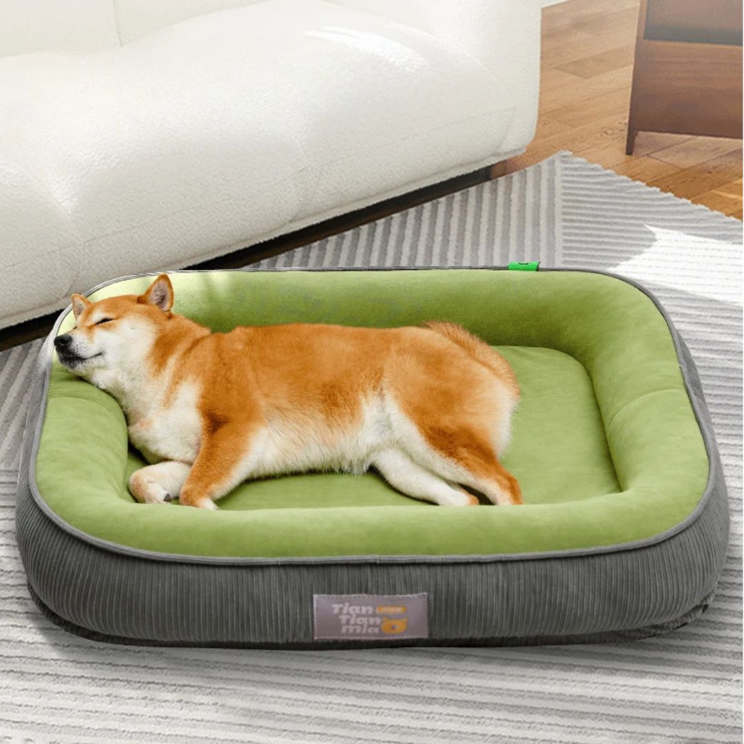 Cama todo clima para perros medianos – Térmica, lavable y ultra cómoda