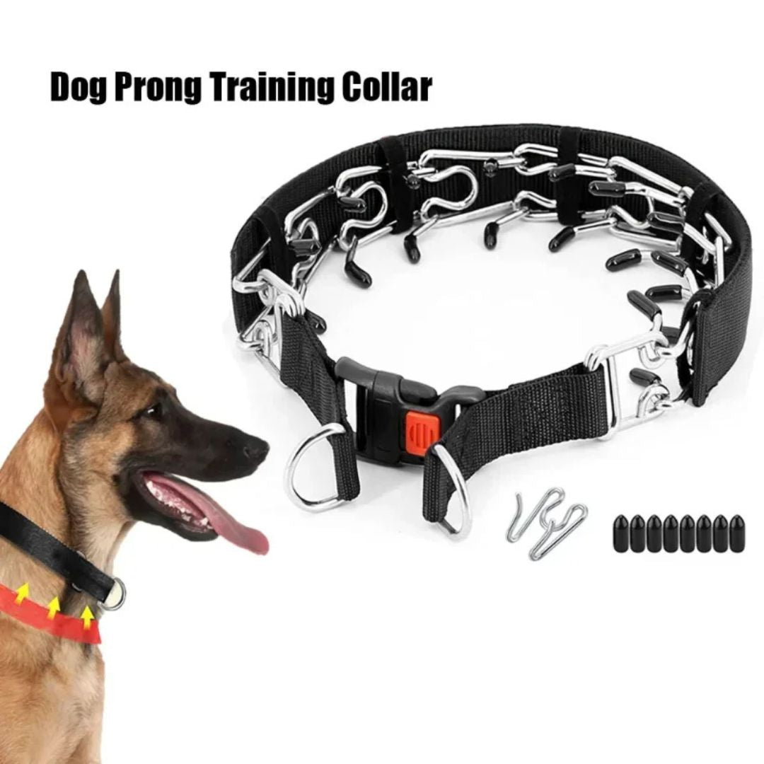 Collar de Entrenamiento con Púas Suaves – Hebilla Rápida y Nailon Reforzado