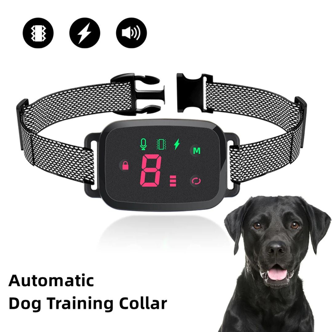 Collar Inteligente Antiladridos con Pantalla HD y Protección IP67