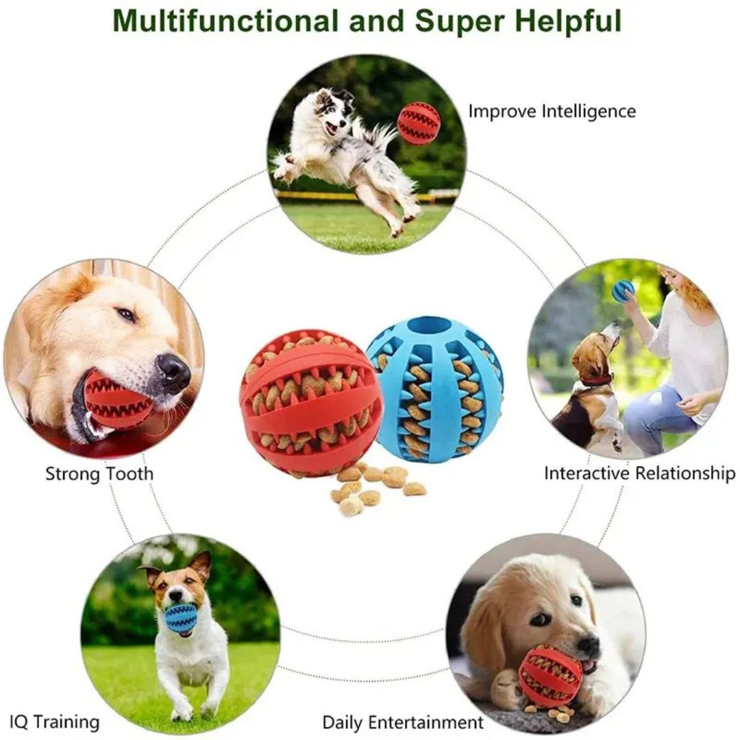 Pelota mordedora para perros juguete interactivo