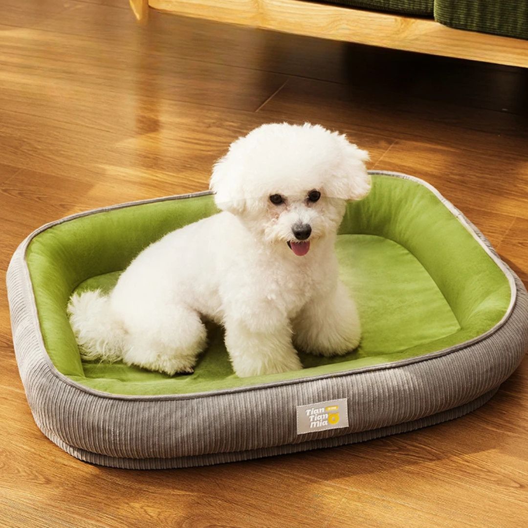 Cama todo clima para perros medianos – Térmica, lavable y ultra cómoda