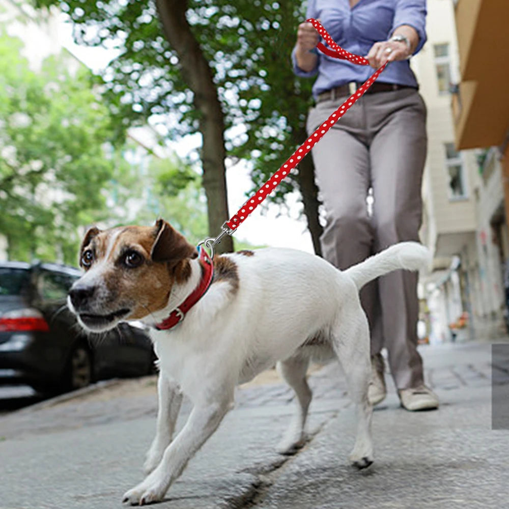Correa de paseo con lunares – Suave, resistente y con estilo