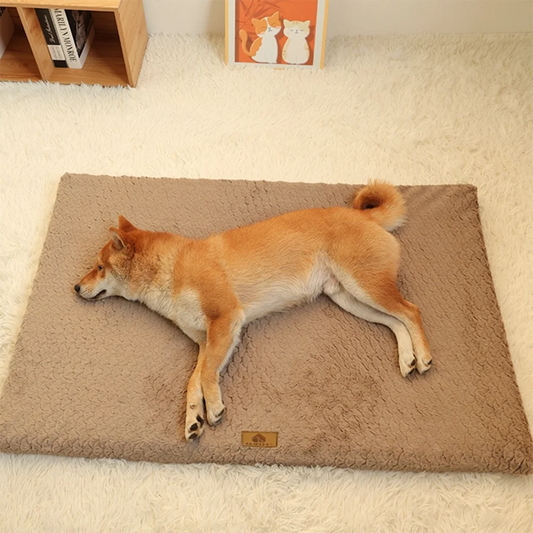Cama ortopédica 3D para mascotas – Espuma de alta densidad, lavable e impermeable