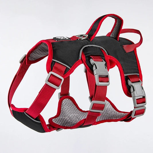 Arnés chaleco para perros grandes – Seguridad y resistencia para paseos