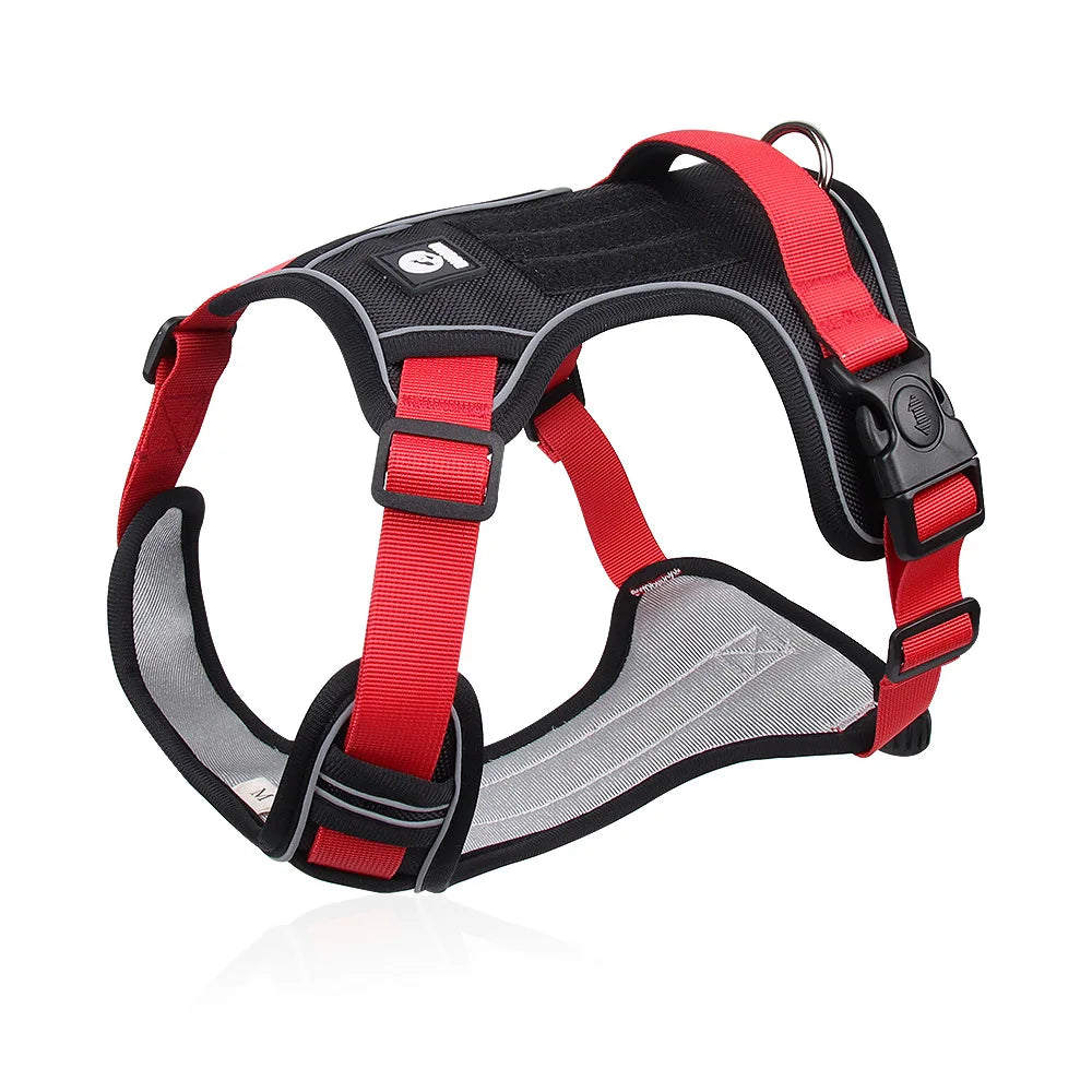 Set de paseo ajustable y reflectante – Comodidad, control y seguridad para tu mascota