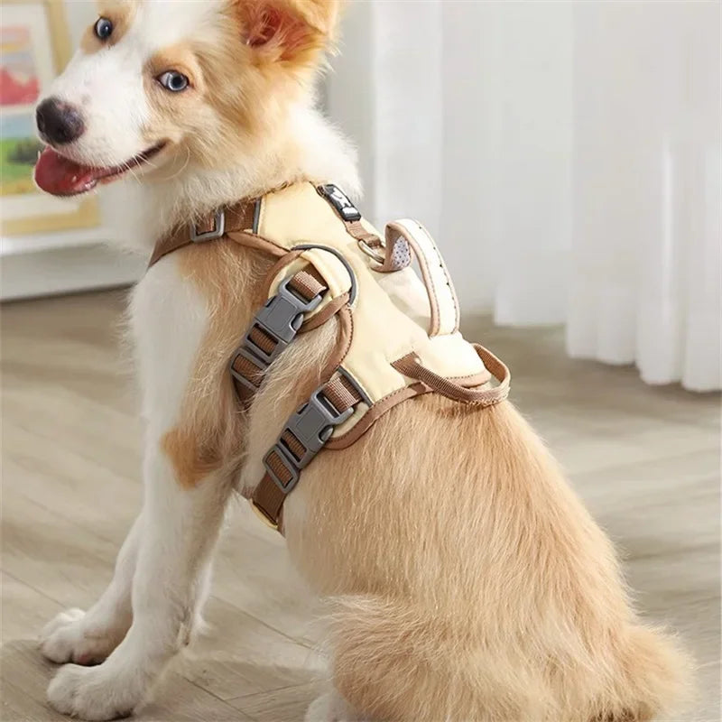 Arnés chaleco para perros grandes – Seguridad y resistencia para paseos