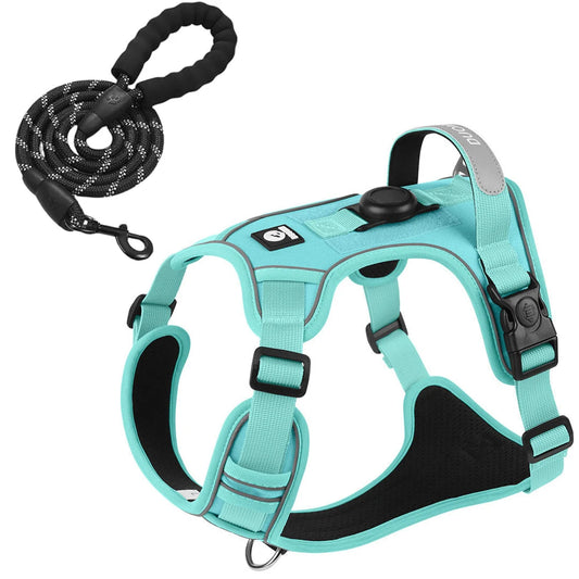 Arnés para perros con soporte Airtag + Correa – seguridad y comodidad en un solo juego
