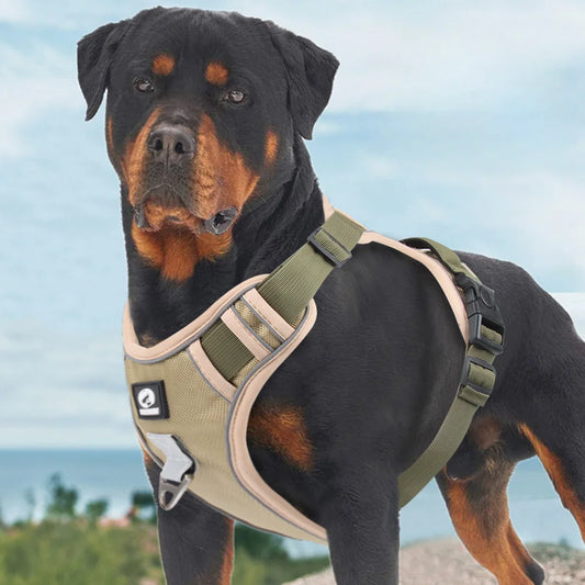 Set de paseo ajustable y reflectante – Comodidad, control y seguridad para tu mascota