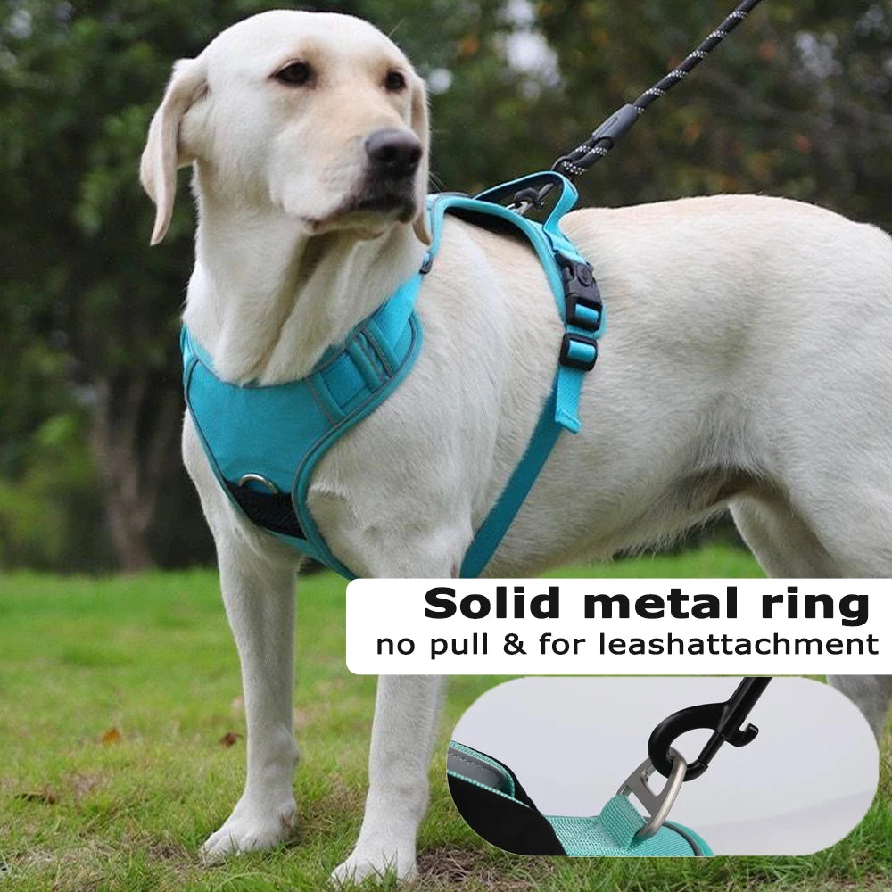 Arnés para perros con soporte Airtag + Correa – seguridad y comodidad en un solo juego