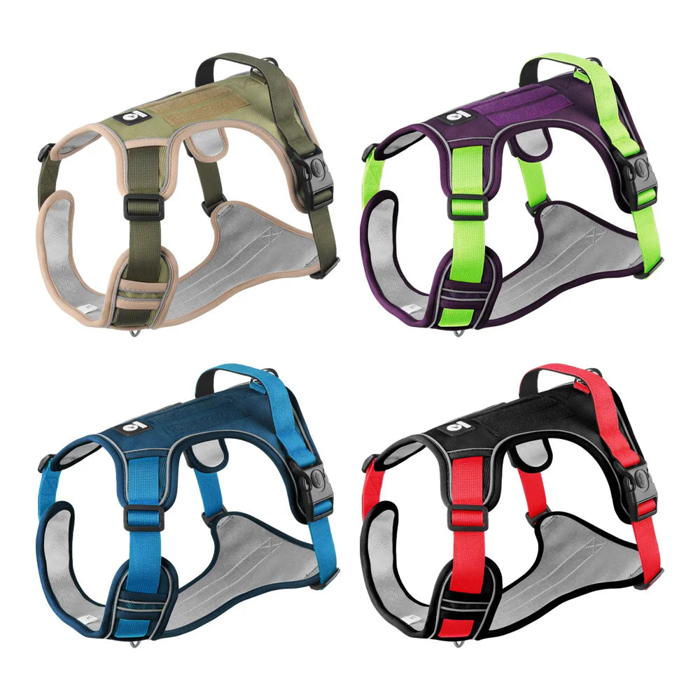 Set de paseo ajustable y reflectante – Comodidad, control y seguridad para tu mascota