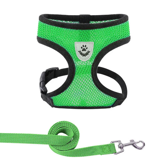 Malla reflectante y correa ajustable para perros